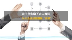 2025企业如何摆脱“内卷”流程咨询公司最新研究