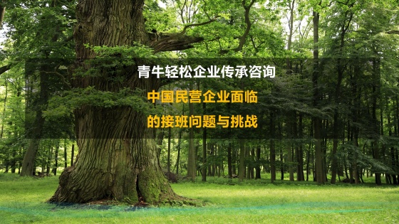 中国民营企业面临的接班问题与挑战，企