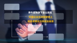 中国企业在流程管理上的应用现状与挑战及前景